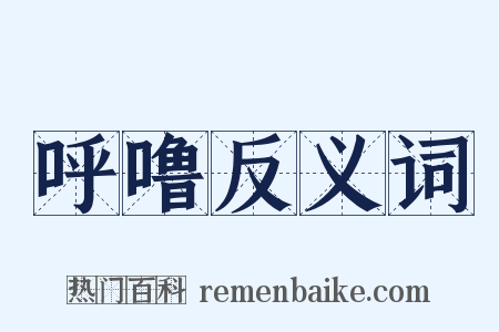 呼噜反义词是什么意思的图片